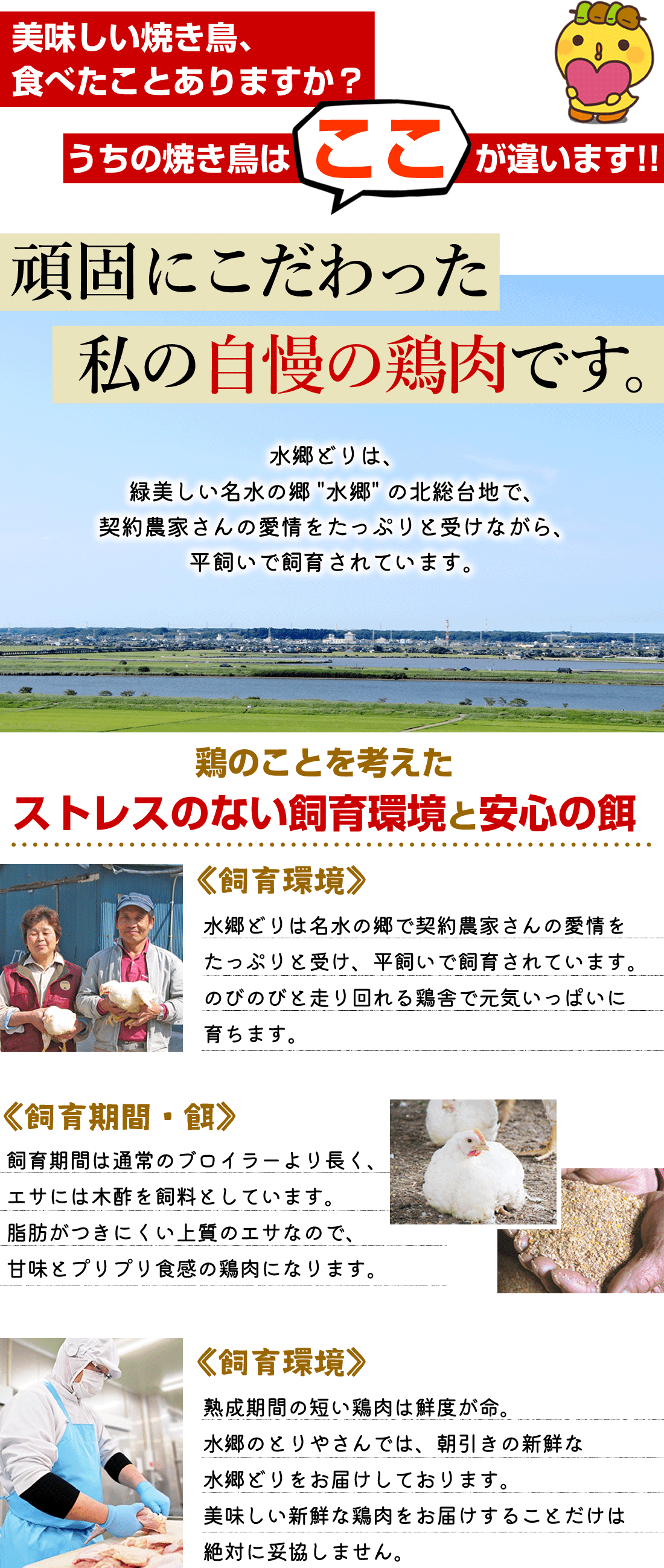 父の日限定地ビールと焼き鳥3種セット