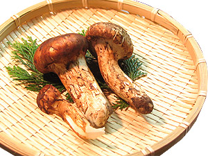 秋の味覚の王様！松茸炊き込みご飯（2合用） ［ マツタケ まつたけ