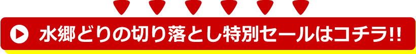 最大31%OFFセール