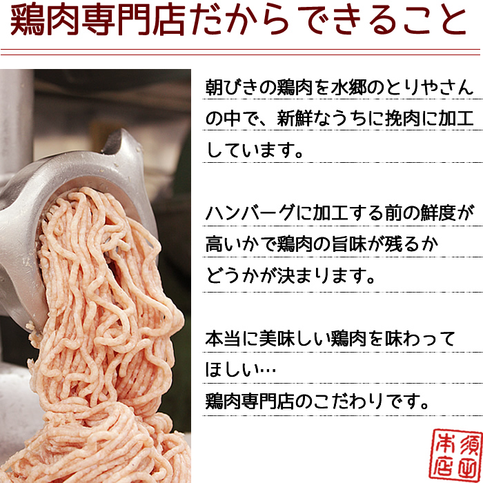 水郷どりのチキンハンバーグ（濃厚トマトソース）［1袋3枚入］ | 水郷