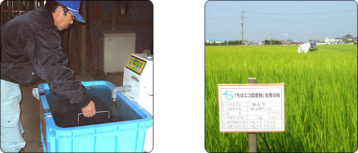 送料無料】千葉県認証の『あんしん米』減農薬コシヒカリ【10kg