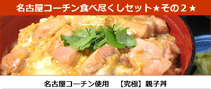 送料無料 親子丼も楽しめる 贅沢 名古屋コーチン食べ尽くし特別セット 冷蔵 限定配送 冷凍限定商品とは同梱できません 別途送料がかかります 水郷のとりやさん