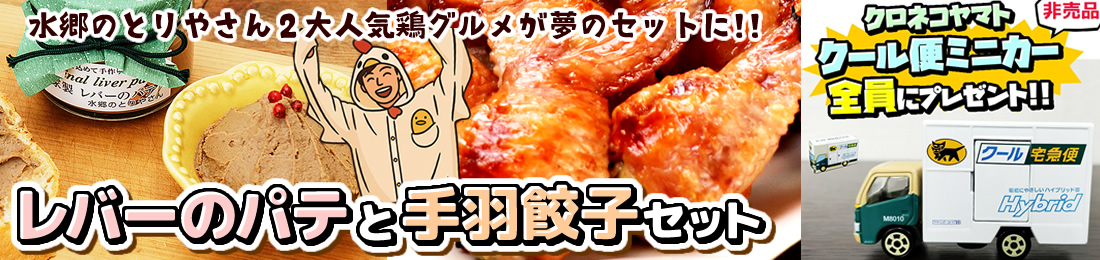 レバーパテと手羽餃子