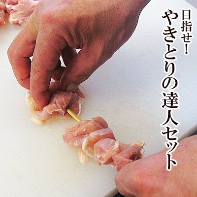 【送料無料】目指せ！やきとりの達人セット！【生】