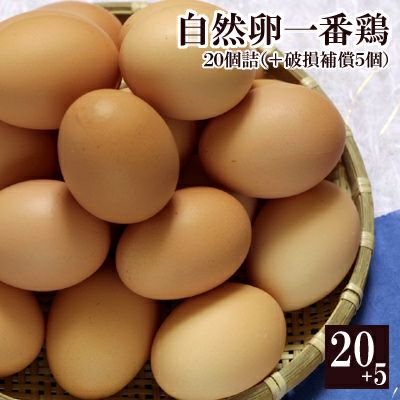 放し飼い自然卵一番鶏「25個詰」（20個＋破損保障分5個）※【 冷蔵 限定配送 】 