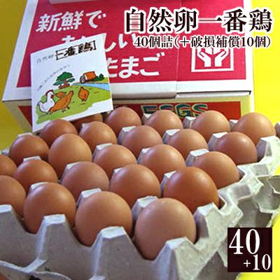 放し飼い自然卵一番鶏「40個詰」（＋破損保障分10個）※【 冷蔵 限定配送 】※冷凍限定商品とは同梱できません 別途送料がかかります