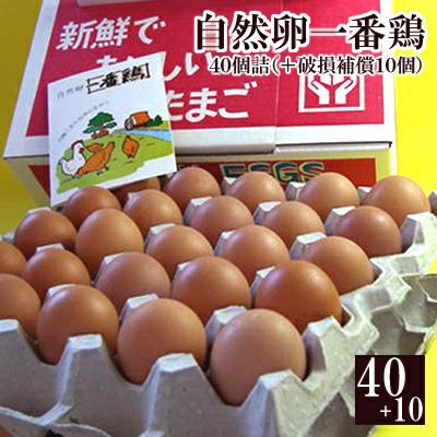 放し飼い自然卵一番鶏「50個詰」（40個＋破損保障分10個） 