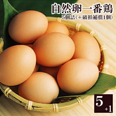 放し飼い自然卵一番鶏「5個詰」（＋破損保障分1個）※【 冷蔵 限定配送 】※冷凍限定商品とは同梱できません 別途送料がかかります