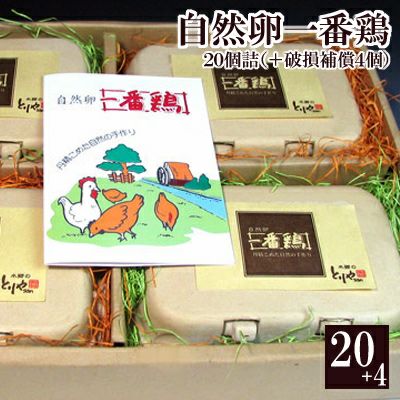 【送料込み】放し飼い自然卵一番鶏「20個詰」（＋破損保障分4個）化粧箱入り※【 冷蔵 限定配送 】※冷凍限定商品とは同梱できません 別途送料がかかります