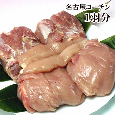 地鶏の王様！名古屋コーチン［新鮮］