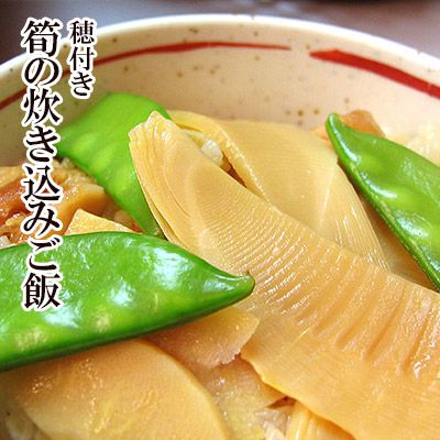 【 国産 筍 使用 】穂付き筍の炊き込みご飯（ たけのこご飯 竹の子 タケノコ ） 