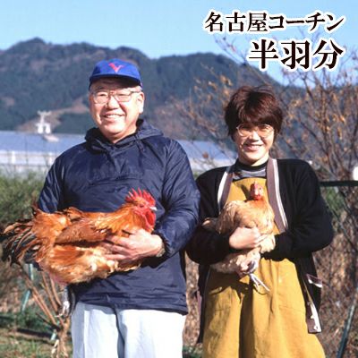 地鶏の王様！名古屋コーチン［ 新鮮 半羽分 ］ （もも・むね・ささみ各１枚セット）