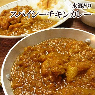 水郷どりスパイシーチキンカレー